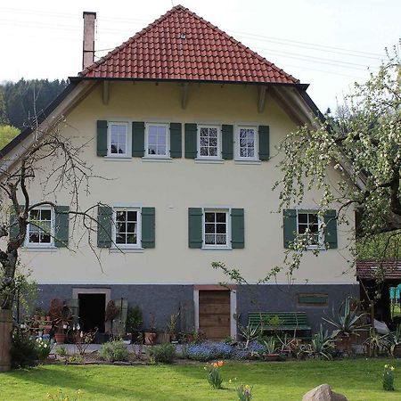 Апартаменты Haus Am Bach Steinach  Экстерьер фото