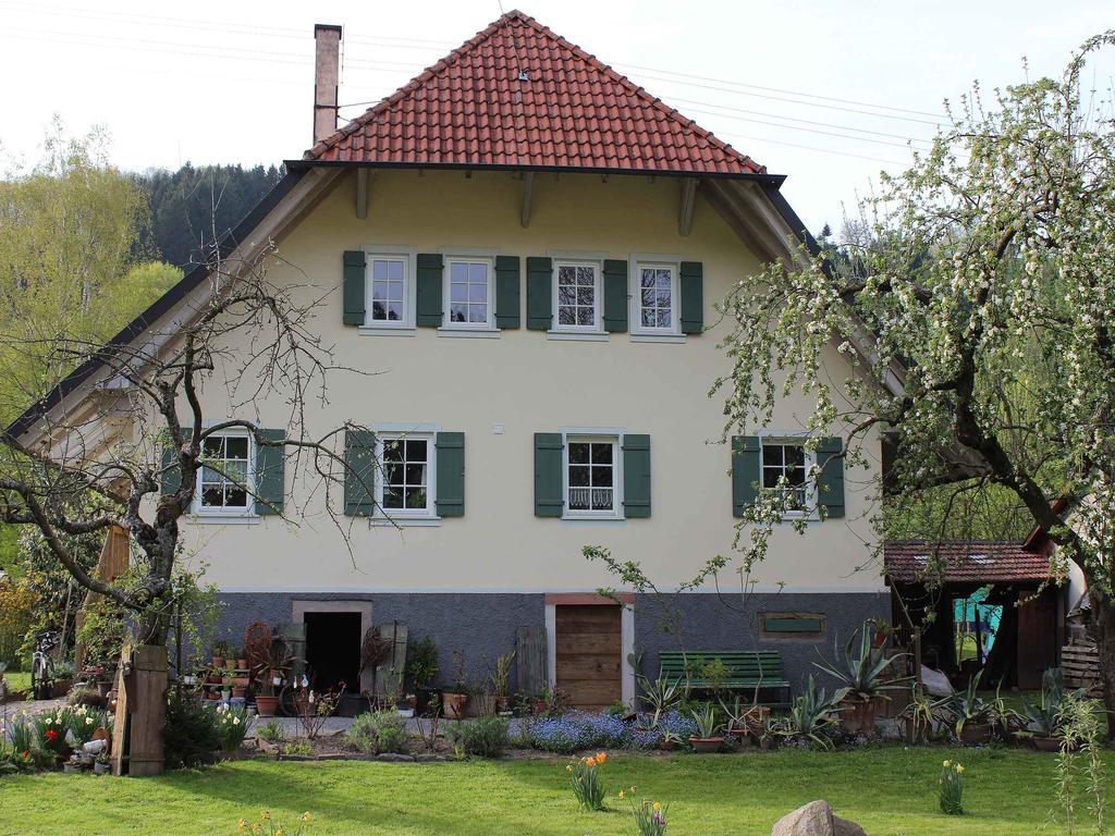 Апартаменты Haus Am Bach Steinach  Экстерьер фото