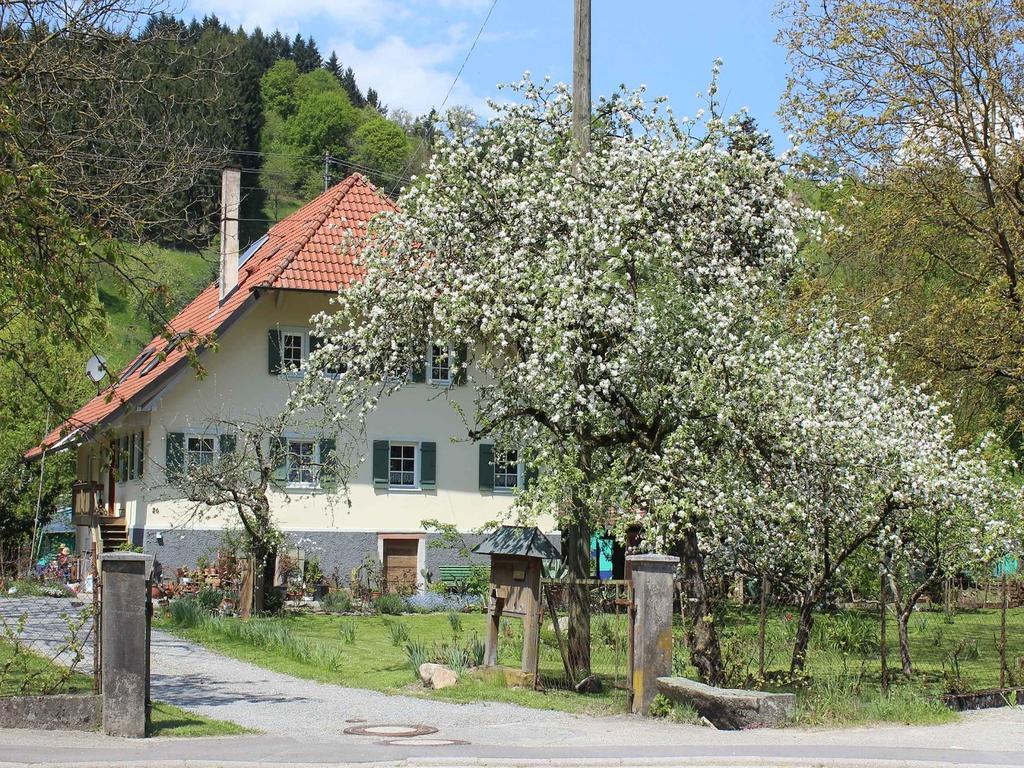 Апартаменты Haus Am Bach Steinach  Экстерьер фото